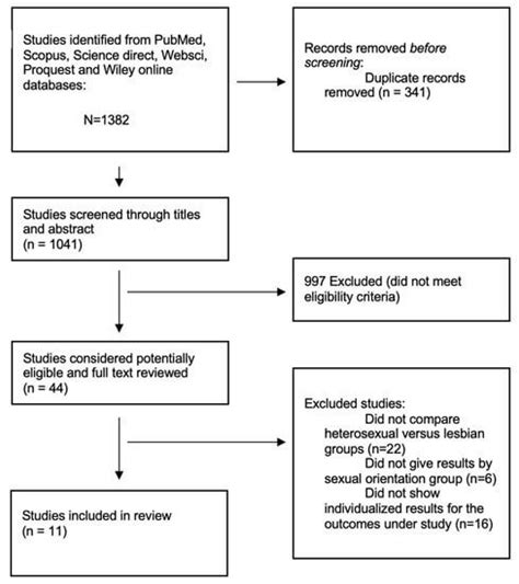 Lesbians reach orgasm more often than heterosexual women —。